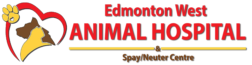 Edmonton West Animal Hospital & Spay/Neuter Centre